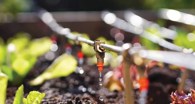 maintaining water pressure and flow in drip irrigation systems