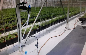 fertilizer pump installation