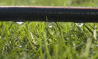 Precision Irrigation: Maximizing Yield with Efficient Irrigation Filtration