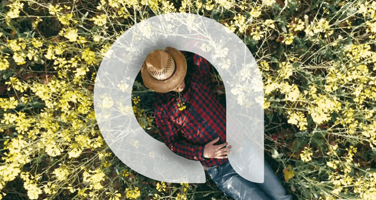 a man lying on a flower field