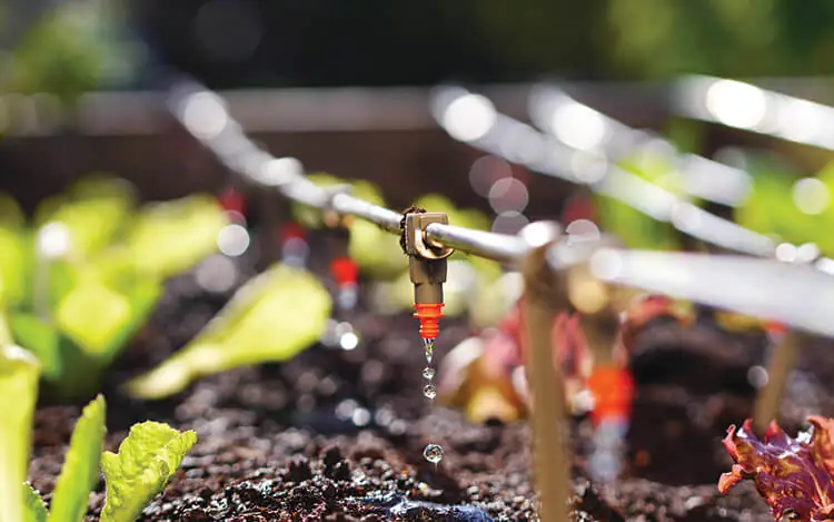 Proper Water Pressure & Flow In Drip Irrigation Systems