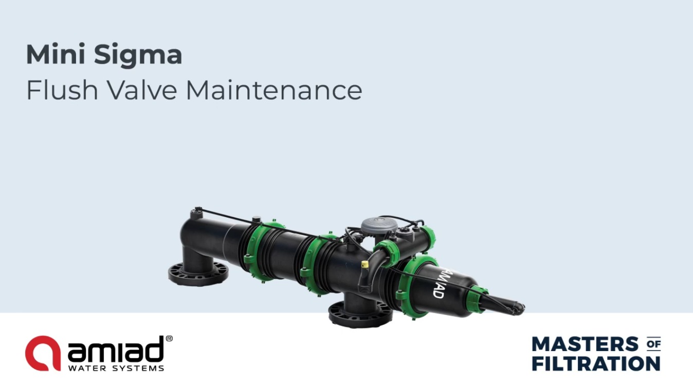 Mini Sigma Flush Valve Maintenance